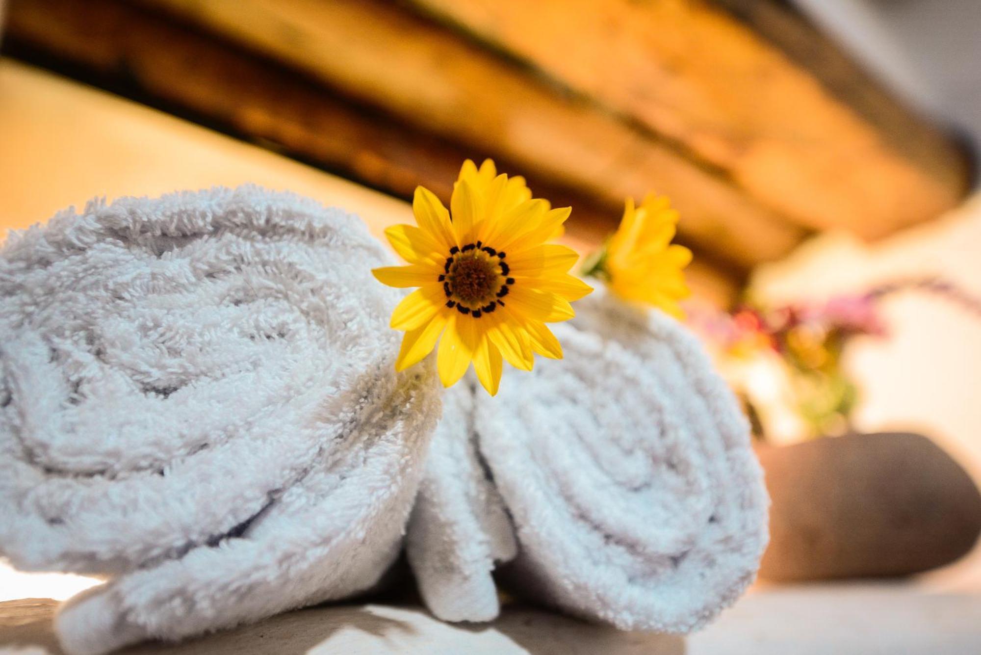 Rumi Lodge 피삭 외부 사진